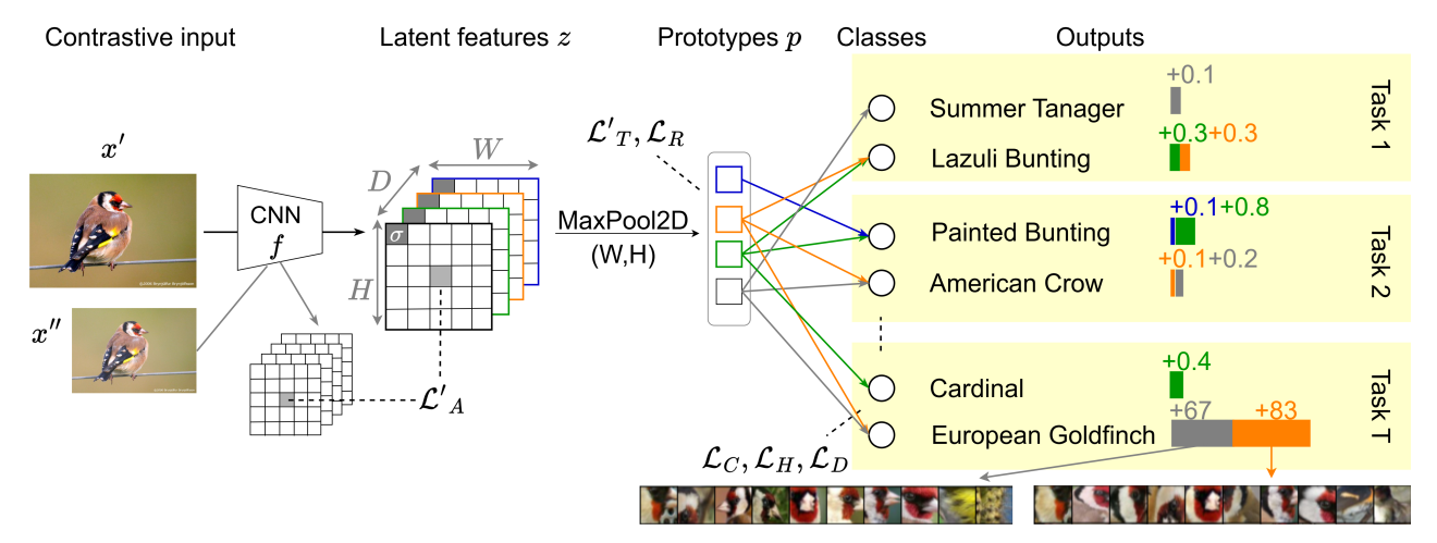 CIP-Net publication